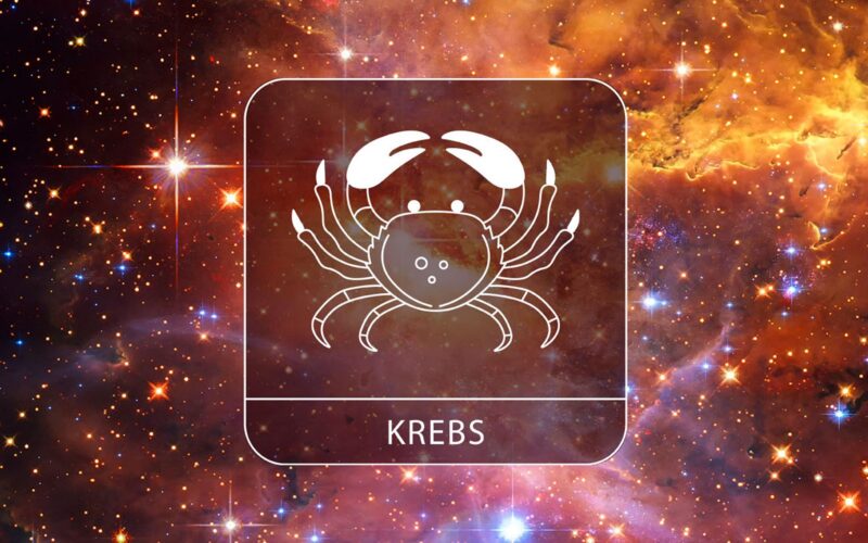 Horoskope Krebs 2025: Sternzeichen-Prognose für das Jahr